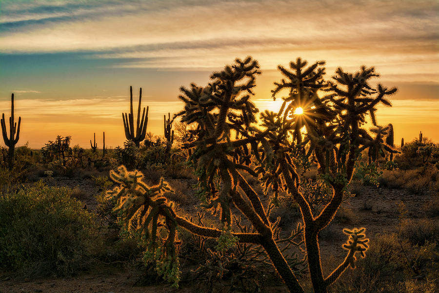 Desert Sunshine Shining Through  Photograph by Saija Lehtonen