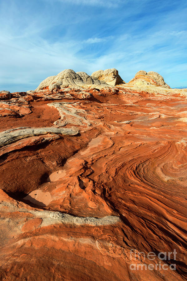 Desert Swirl Photograph by Michael Dawson | Fine Art America