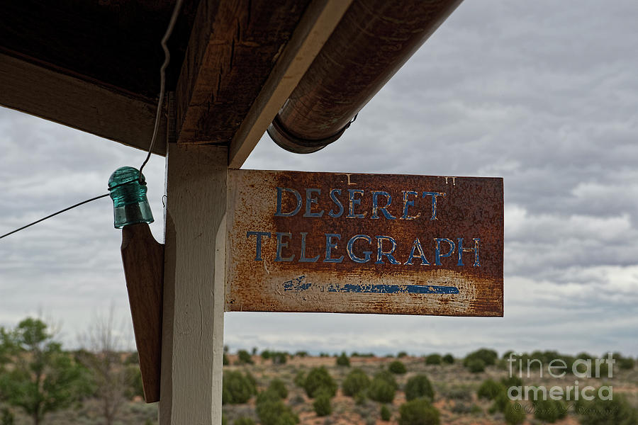 Desert Telegraph Photograph by David Arment