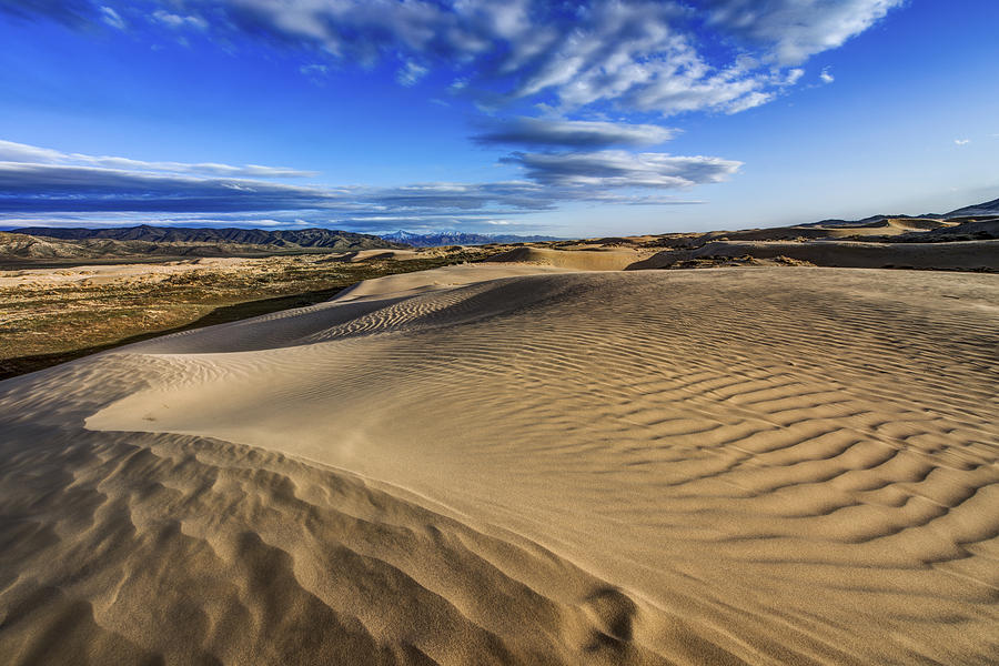 Desert Texture Photograph by Chad Dutson