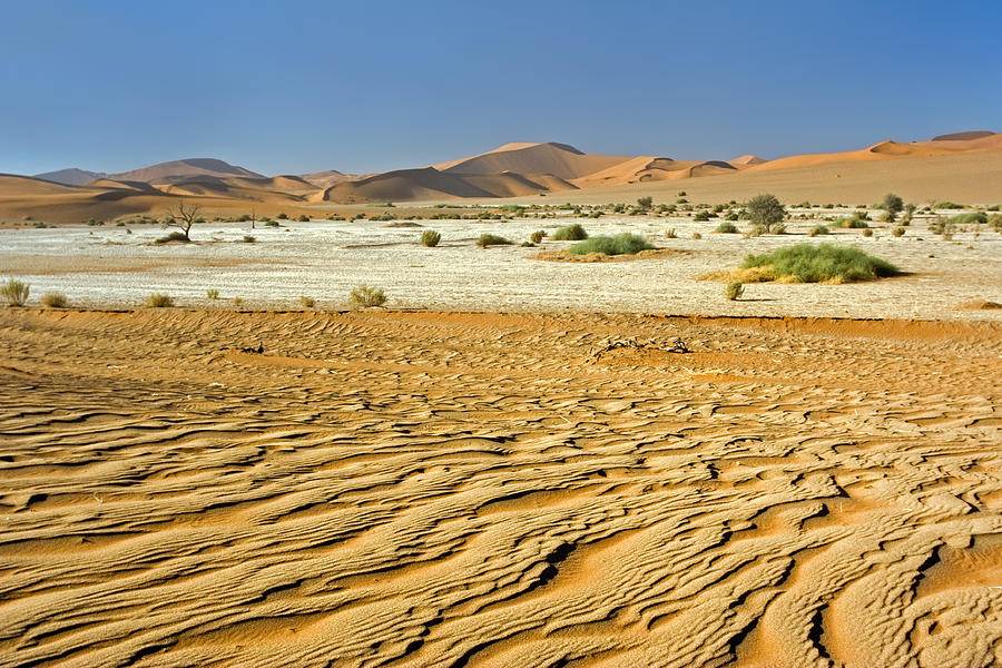 Desert Texture In Namib-naukluft Photograph