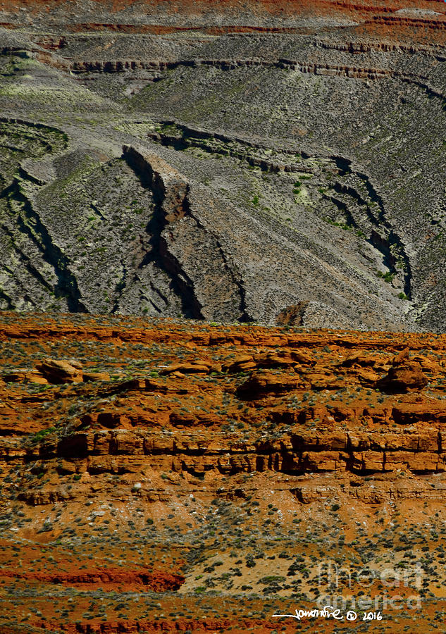 Desert Texture Photograph by Jonathan Fine