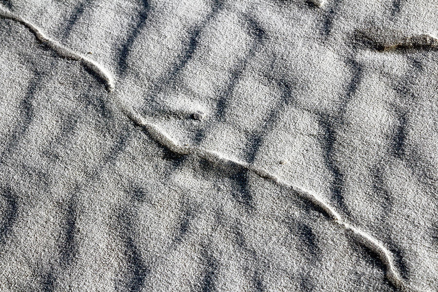 Desert Textures 3 Photograph by Nicholas Blackwell