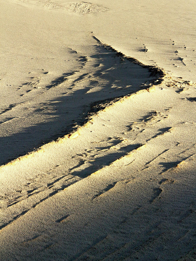 Desert Textures 4 Photograph by Nicholas Blackwell