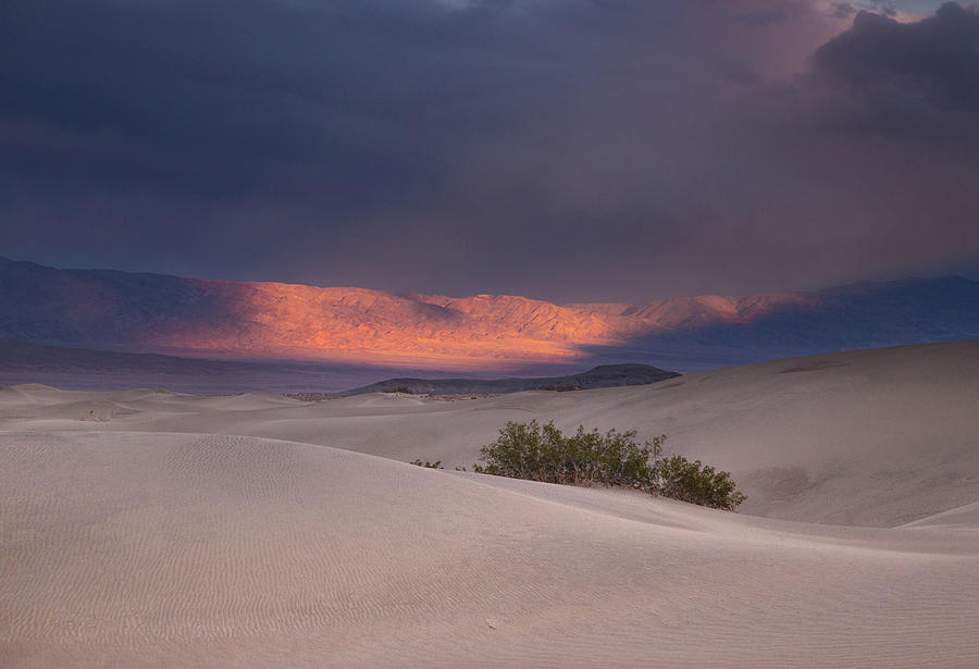 Desert thunderstorm Photograph by Kunal Mehra