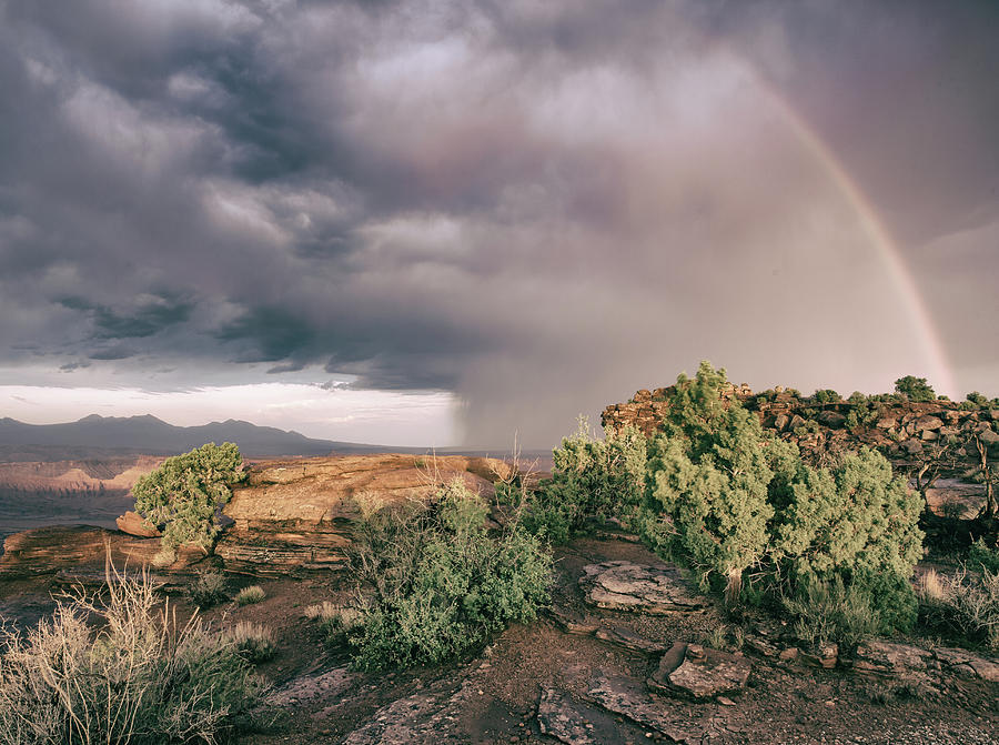 Desert Thunderstorm with Rainbow Photograph by Kyle Lee
