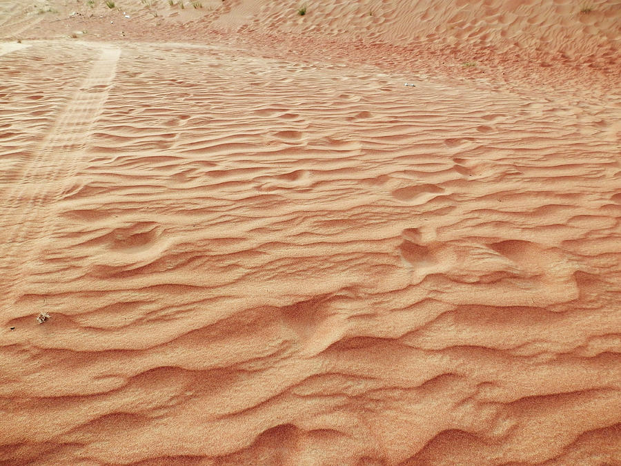 Desert Track Photograph by Pema Hou