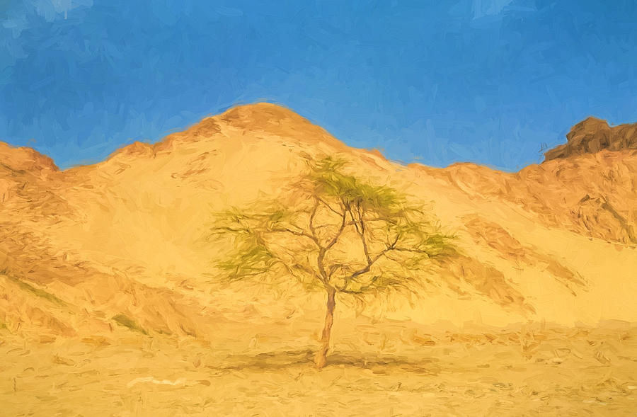 Desert Tree Digital Art by Roy Pedersen