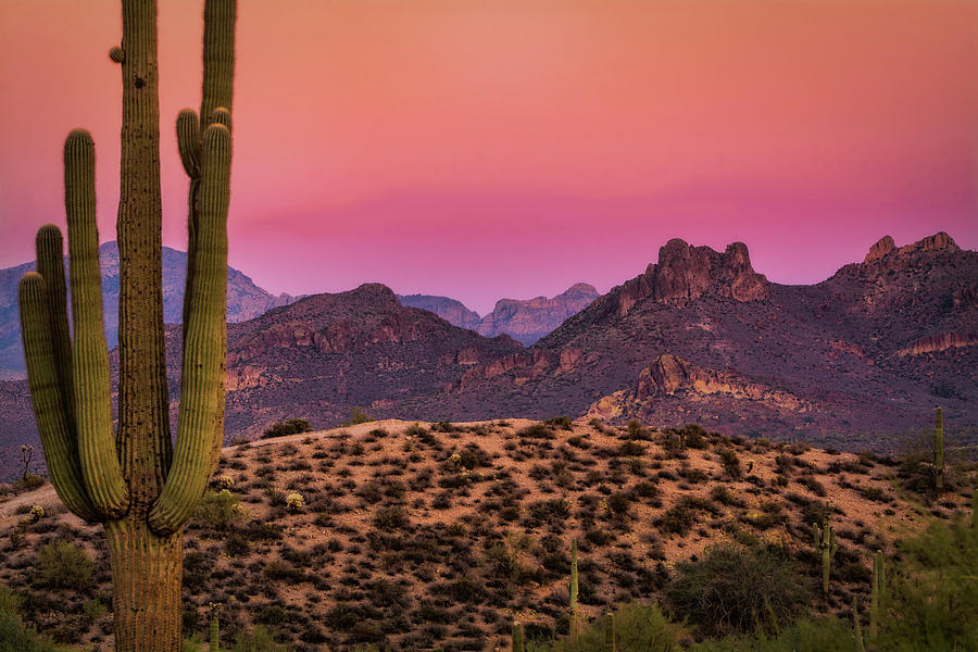 Desert Twilight Photograph by Saija Lehtonen Pixels
