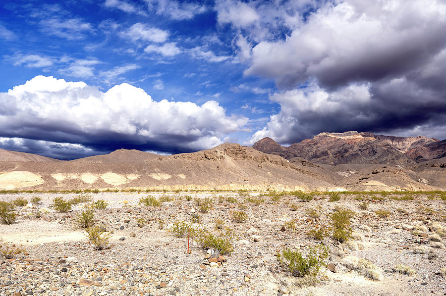 Desert View in Death Valley Photograph by John Rizzuto