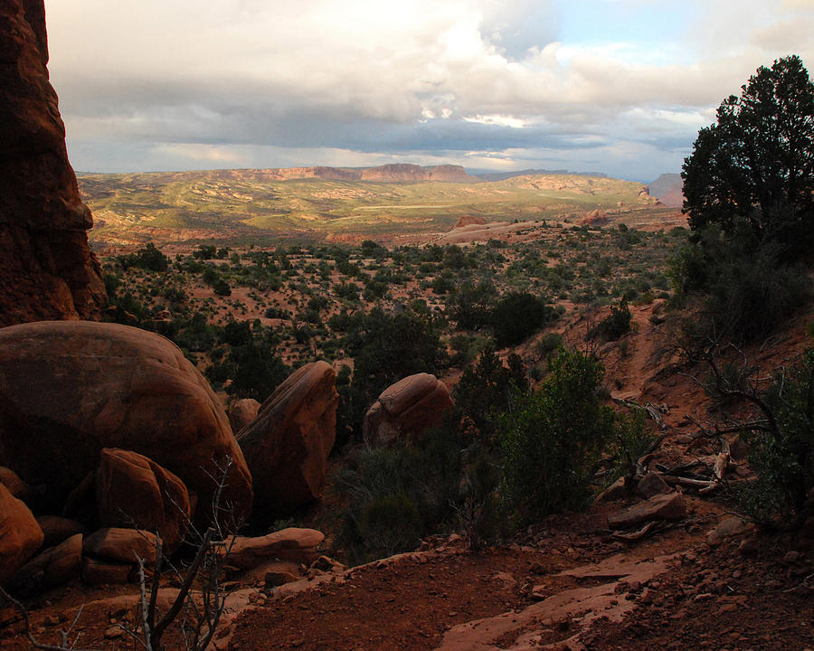 Desert View Photograph by Pamela Peters
