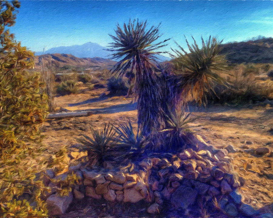 Desert Views Photograph by Snake Jagger