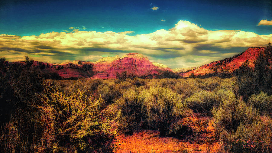 Desert Vista ... Photograph by Chuck Caramella