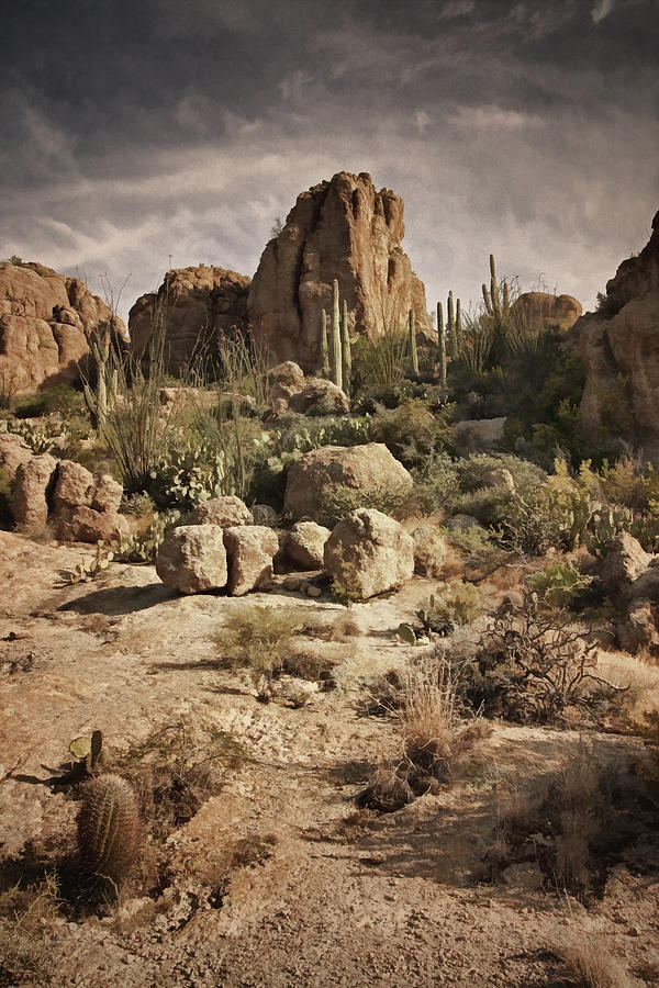 Desert Vista bz Photograph by Theo OConnor