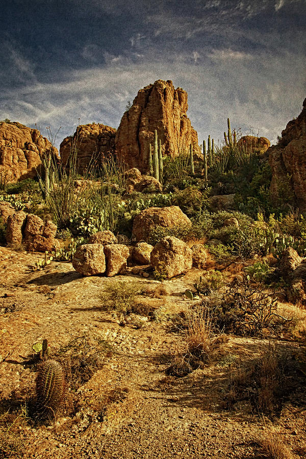 Desert Vista mx Photograph by Theo OConnor