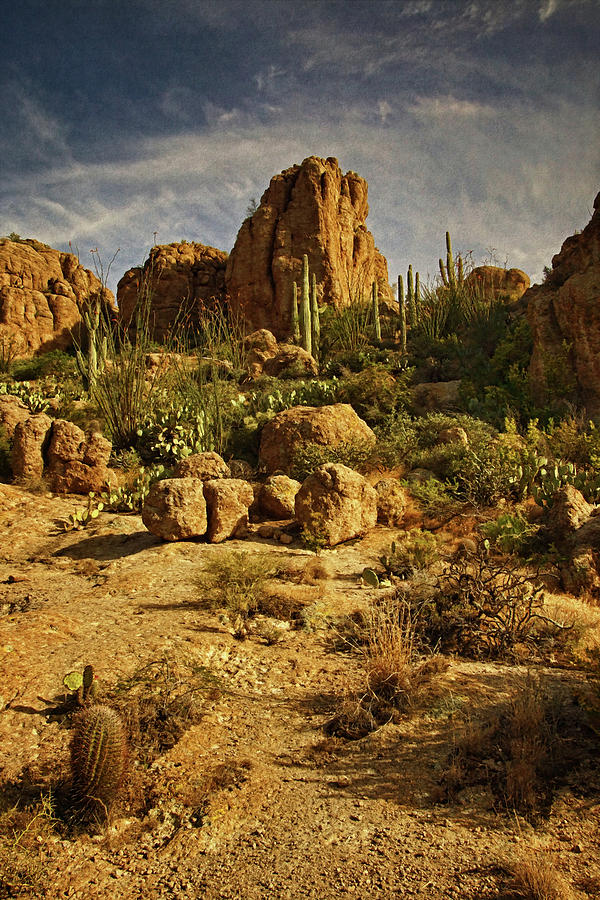 Desert Vista tx Photograph by Theo OConnor