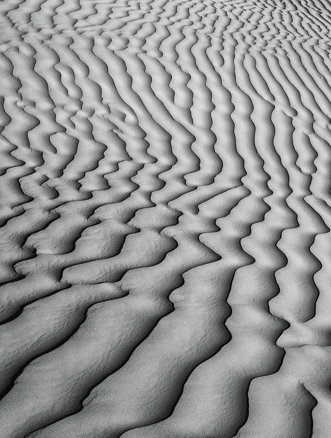 Desert Waves Black and White Photograph by Darlene Smith
