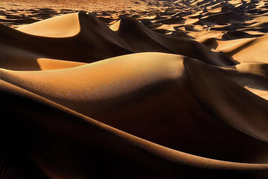 Desert Waves  Photograph by Nicki Frates