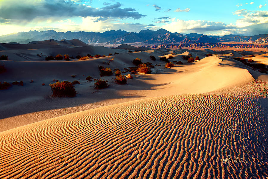Desert Waves Photograph by Renee Sullivan