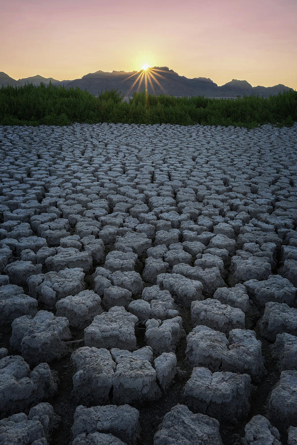 Desert West Photograph by Dustin LeFevre