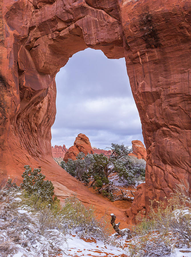 Desert Window Photograph by Darlene Smith