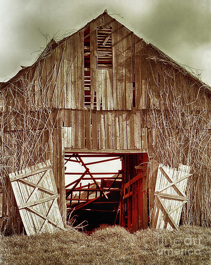 Deserted Barn Photograph by Don Schimmel