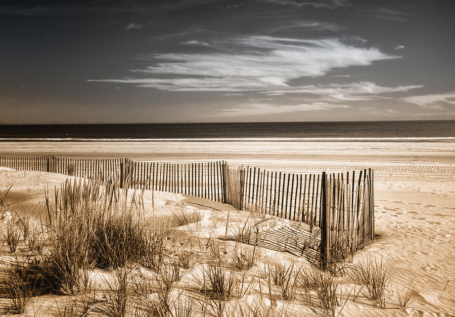 Deserted Beach in Duo-tone Photograph by Carolyn Derstine