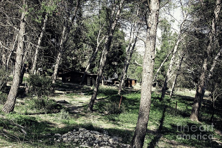 Deserted cabins by Jackie Mestrom Deserted cabins by Jackie Mestrom