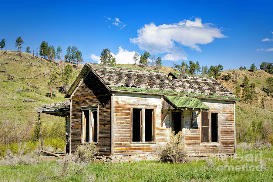 Deserted Colorado Cabin Photograph by Timothy Hacker