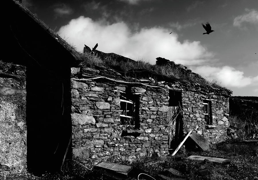 Deserted Cottage with Crow, Ireland Photograph by Zoe Oakley