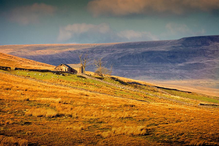 Deserted Farmhouse Photograph by Mark Egerton