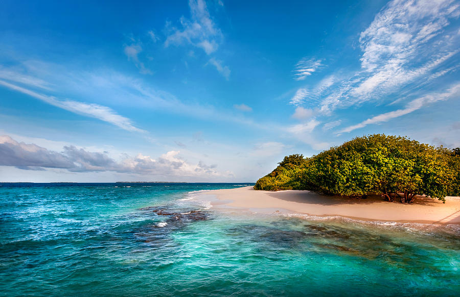 Deserted Maldivian Island Photograph by Jenny Rainbow