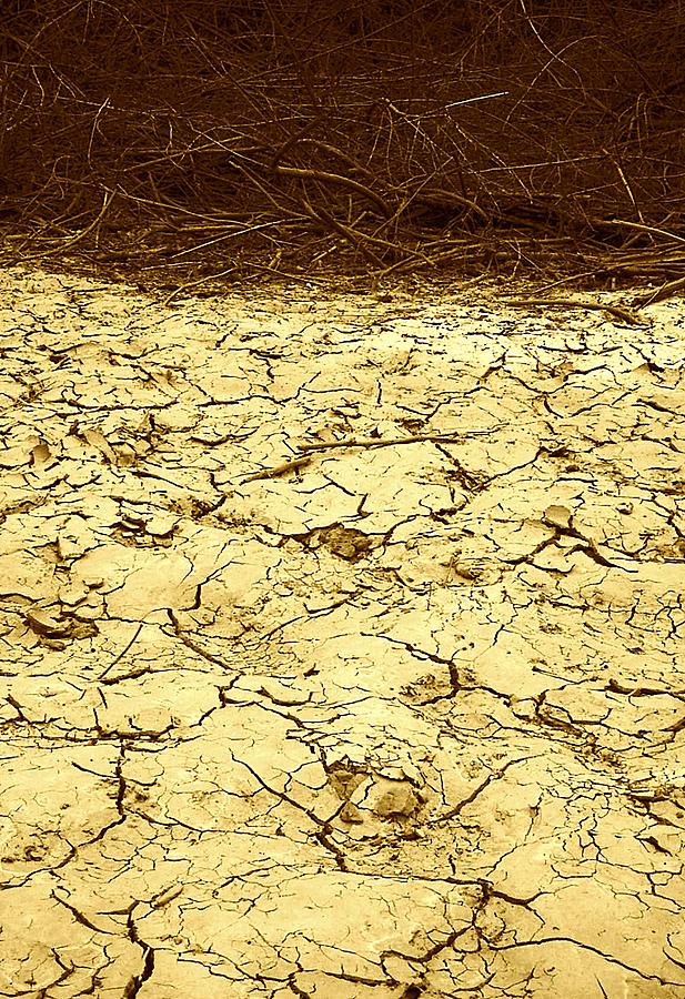 Desert.Ground. Photograph by Viktor Savchenko