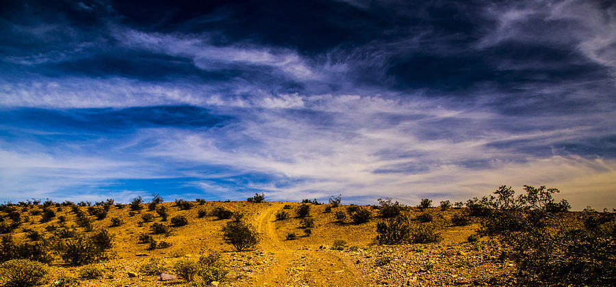 Desertscape Photograph