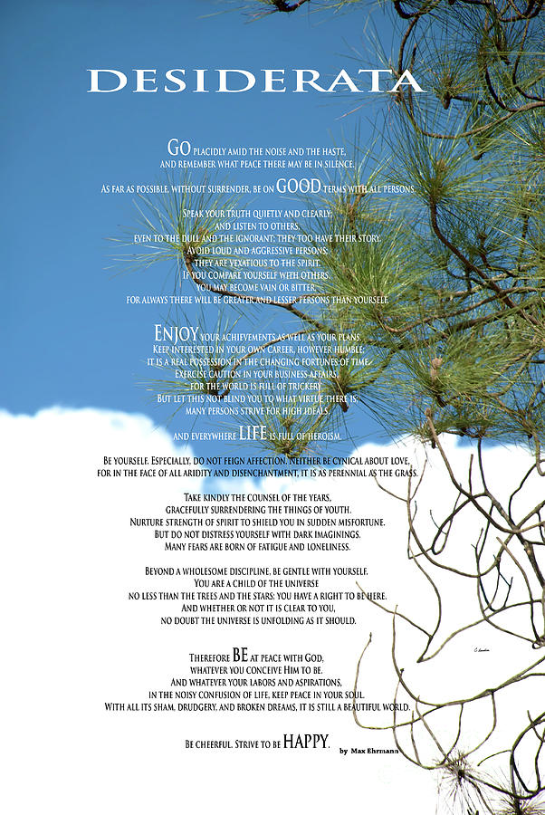 Desiderata Poem Over Sky With Clouds And Tree Branches Photograph by Claudia Ellis