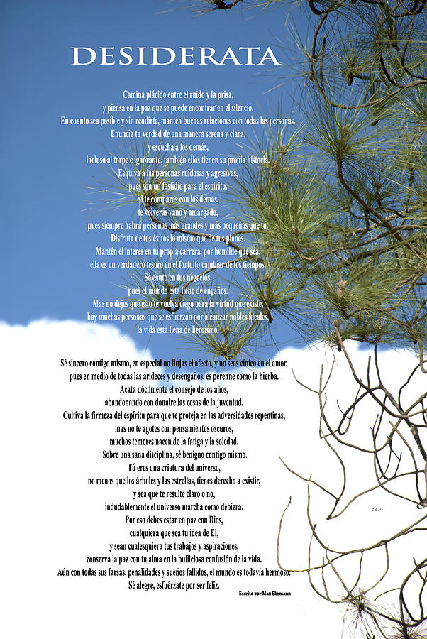 DESIDERATA - SPANISH- Poem Over Sky With Clouds And Tree Branches Photograph by Claudia Ellis