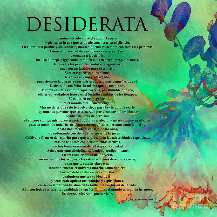 DESIDERATA - SPANISH Version #2 Photograph by Claudia Ellis