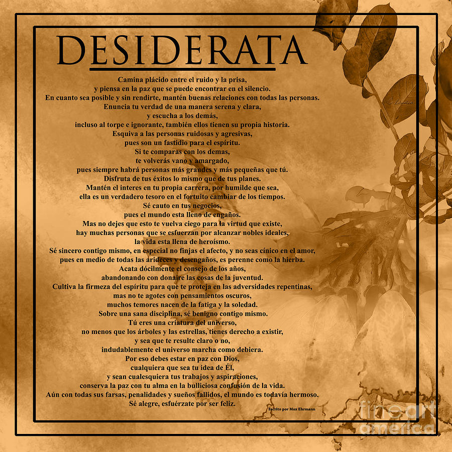 Desiderata- SPANISH Version - Golden Brown Photograph by Claudia Ellis