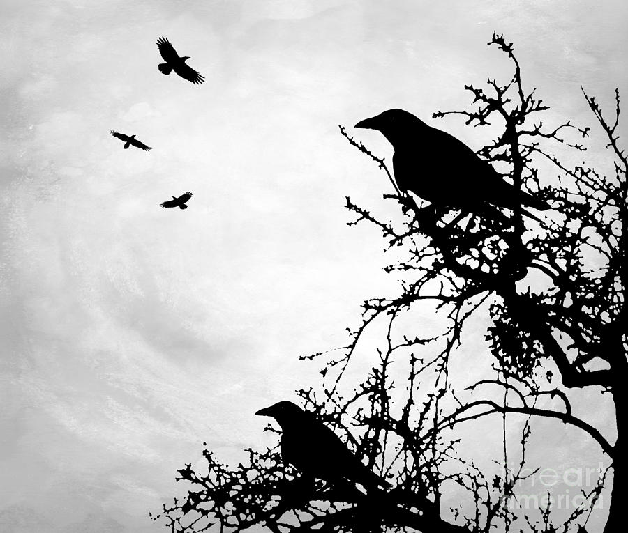 Design 43 Crow silhouette Digital Art by Lucie Dumas