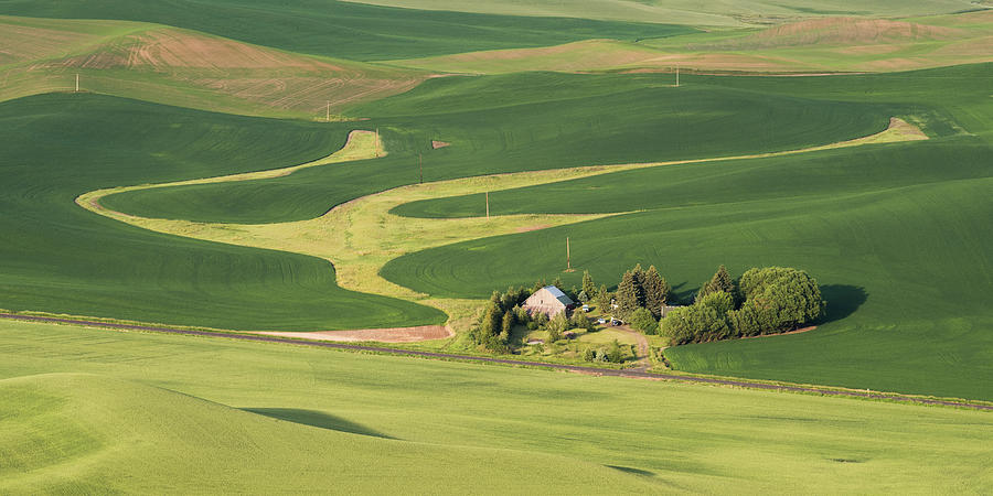 Design in the Palouse Photograph by Daniel Ryan