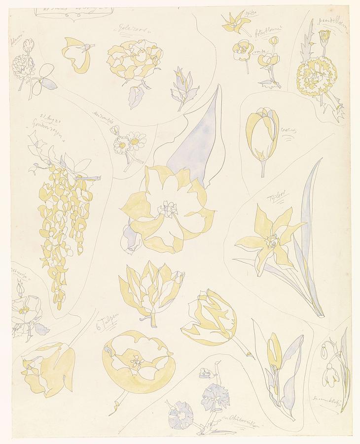 Designs For Pottery Decoration Six Tulips And Other Flowers, Theo Colenbrander, 1920 Painting