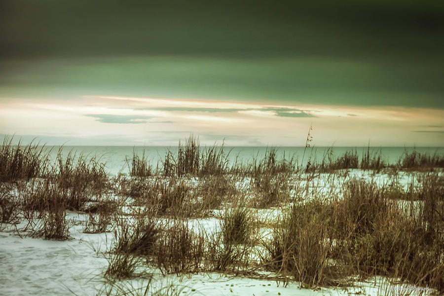 Desolate  Photograph by Debra Forand