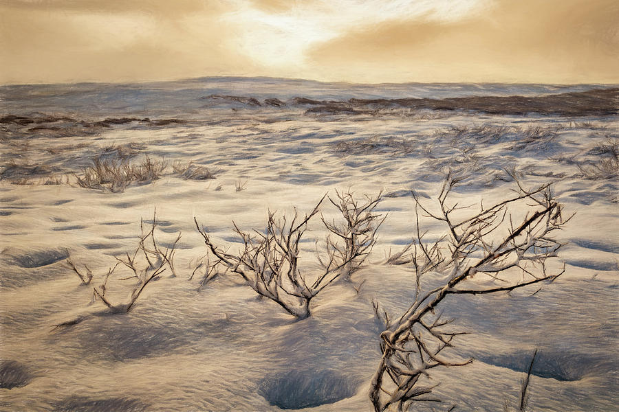 Desolate Landscape Photograph by Maria Coulson