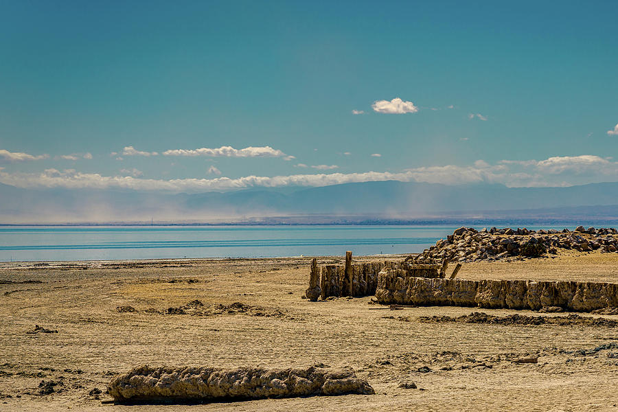 Desolate Shore Digital Art by Stevie Benintende - Fine Art America