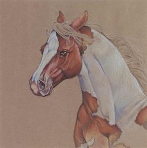 Horse Drawing - Desolation by Eden Alvernaz