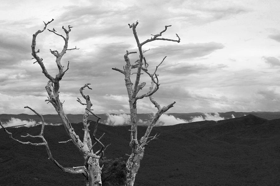 Desolation Photograph by Robert Wilder Jr