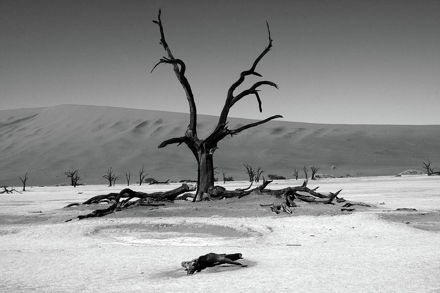 Namib Naukluft National Park  Photograph by Aidan Moran
