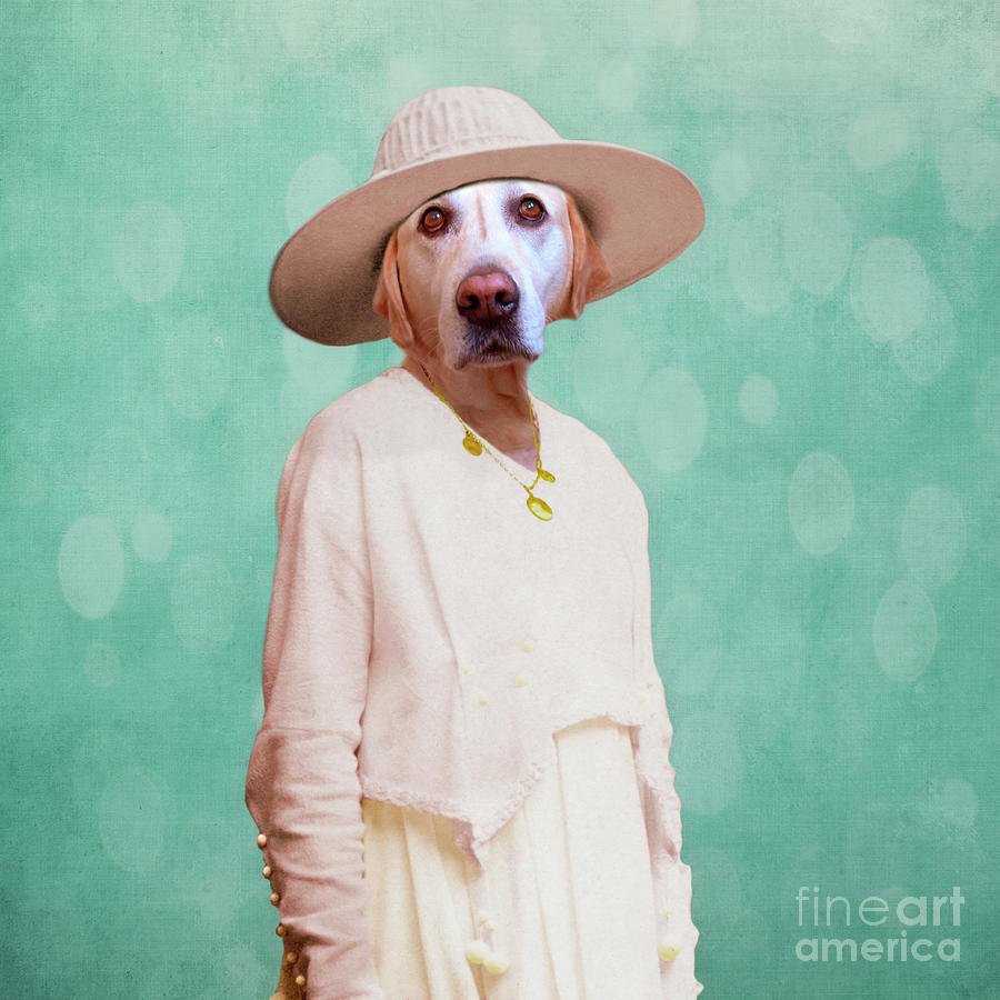 Dog Digital Art - Desperate Housewife by Martine Roch