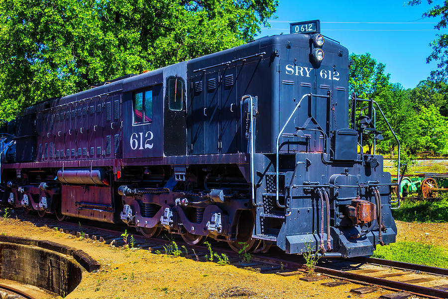 Dessel Train SRY 612 Photograph by Garry Gay