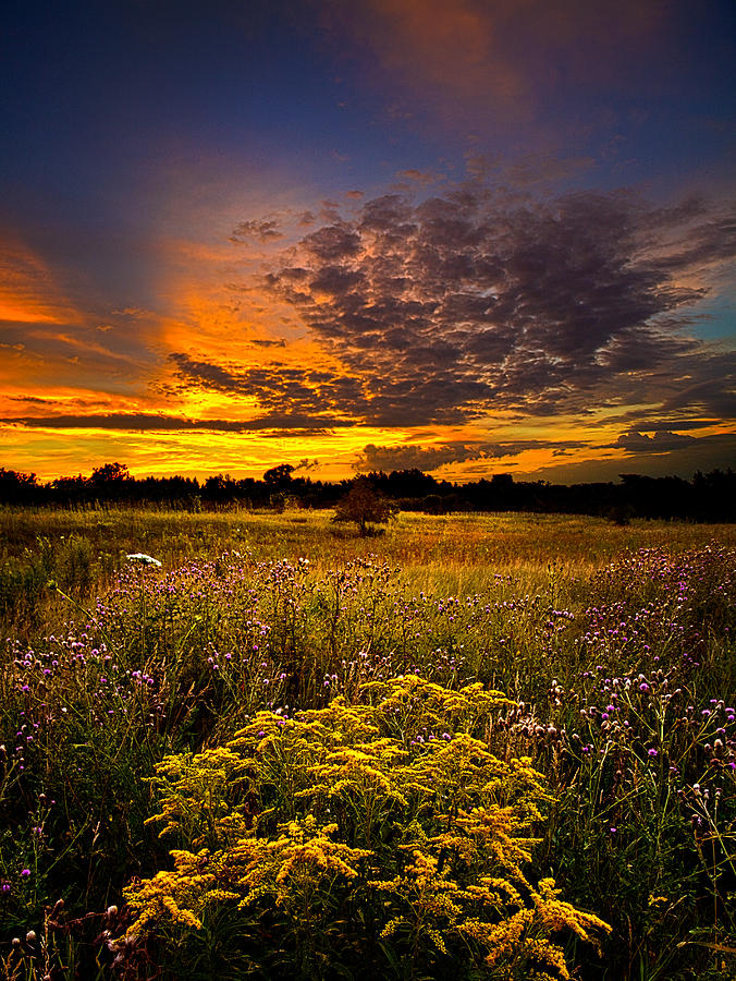 Destination Photograph by Phil Koch - Fine Art America